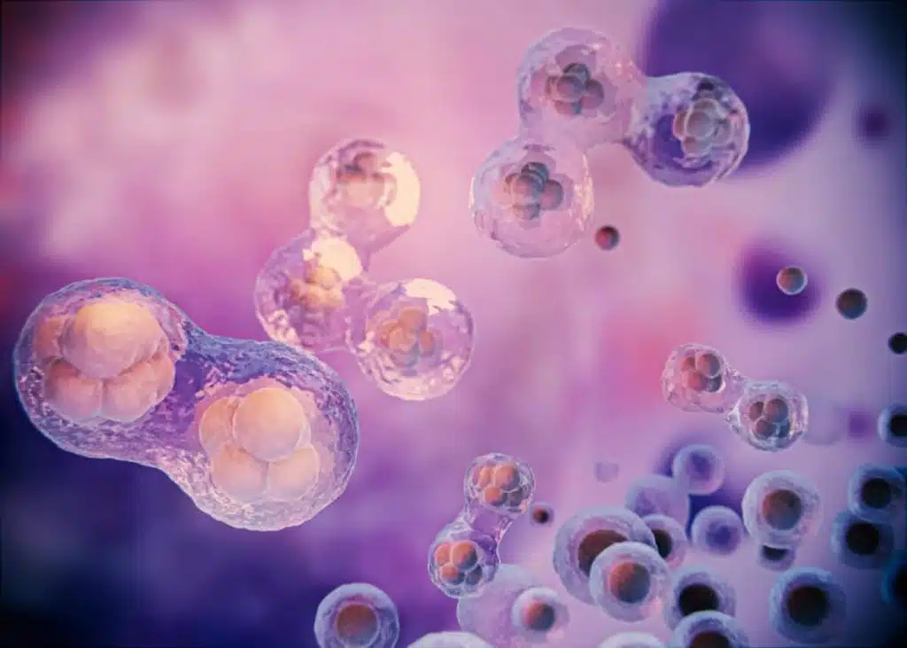 Adipose-Derived-Stem-Cell-Therapy-in-jupiter-florida