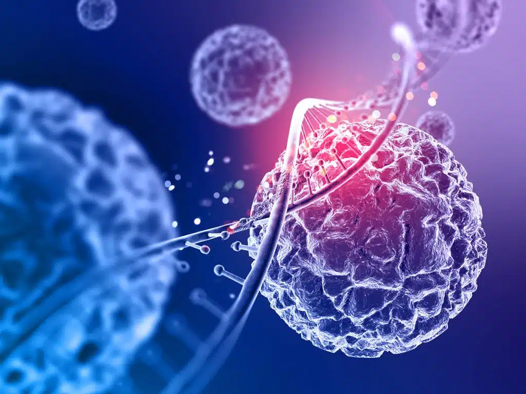 adipose-derived stem cells therapy in palm beach fl cells dna strand