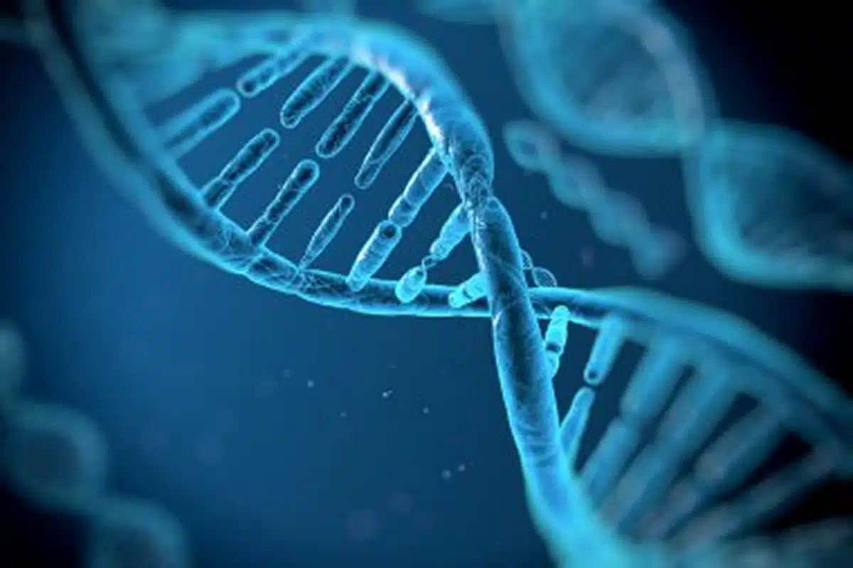 regenerative medecine for pain dna cells
