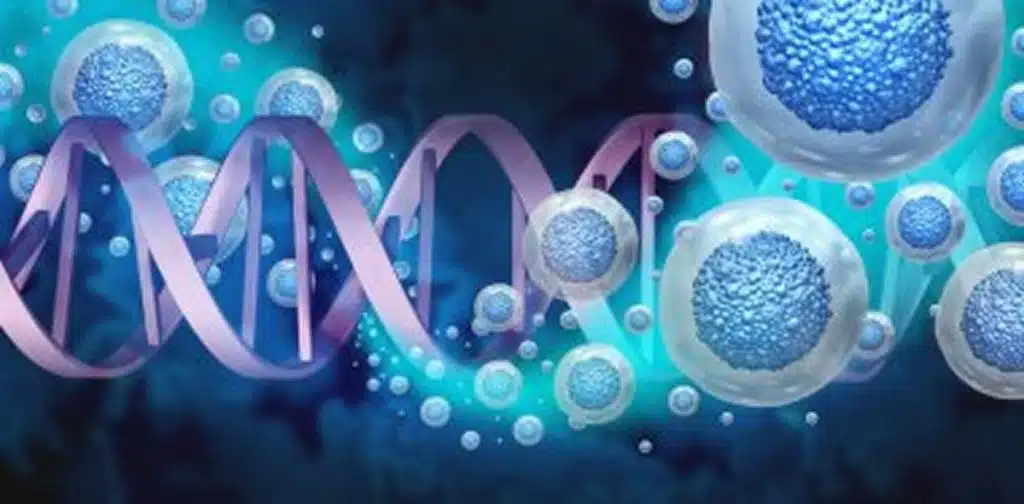 regenerative management medicine for pain jupiter florida